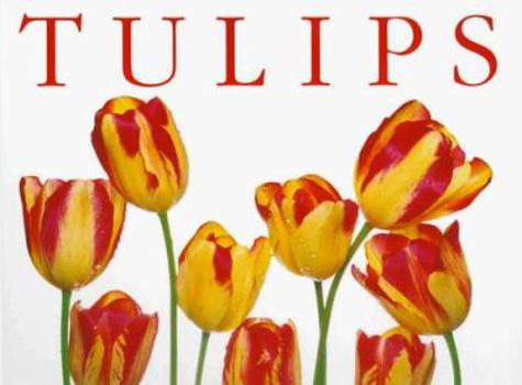 Paperback Tulips (Tp) [Large Print] Book