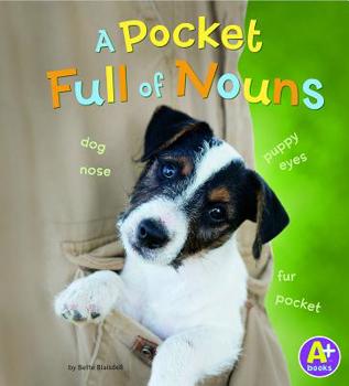 Paperback A Pocket Full of Nouns Book