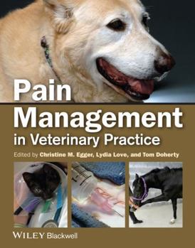 Paperback Pain Mgmt Small Animal Vet Pra Book