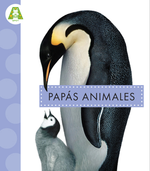 Paperback Papás Animales [Spanish] Book