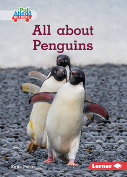 Paperback All about Penguins Book