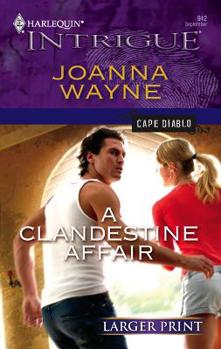 Mass Market Paperback A Clandestine Affair [Large Print] Book