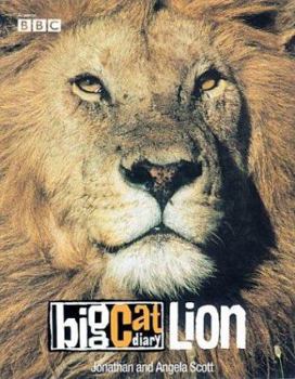 Hardcover Lion Book