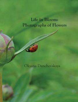 Paperback Life in Bloom: Photographs of Flowers Book