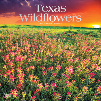 Calendar Texas Wildflowers 2021 Square Foil Book