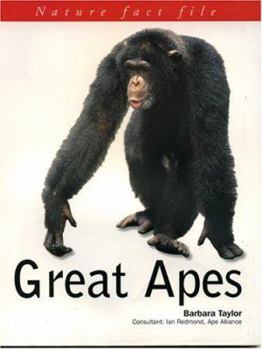 Paperback Great Apes Book