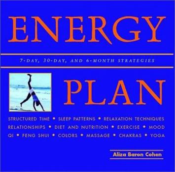 Paperback Energy Plan Book
