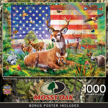 Misc. Radiant County Book