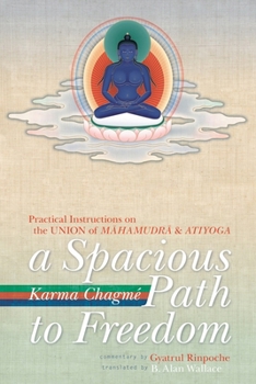 Paperback A Spacious Path to Freedom: Practical Instructions on the Union of Mahamudra and Atiyoga Book