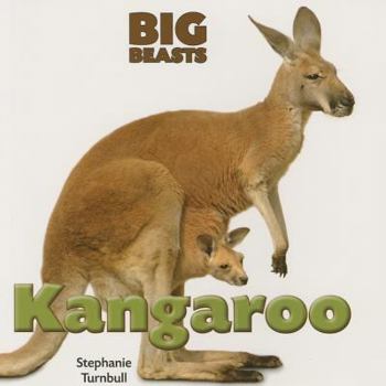 Paperback Kangaroo (Big Beasts) Book