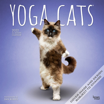 Yoga Cats OFFICIAL 2022 12 x 12 Inch Monthly Square Wall Calendar, Animals Humor Pets