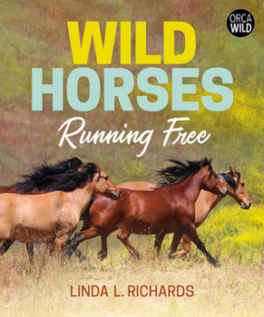 Hardcover Wild Horses: Running Free Book