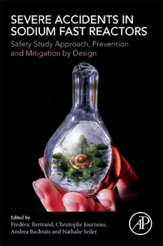 Paperback Severe Accidents in Sodium Fast Reactors: Safety Study Approach, Prevention and Mitigation by Design Book