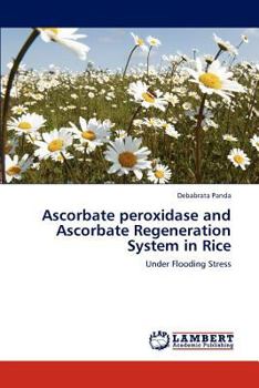 Paperback Ascorbate Peroxidase and Ascorbate Regeneration System in Rice Book