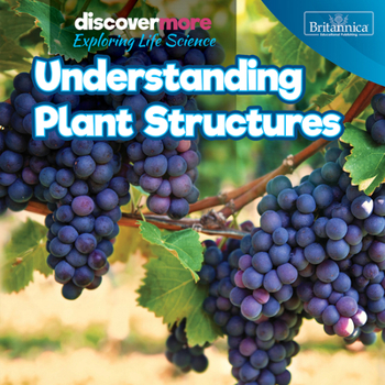 Paperback Understanding Plant Structures Book