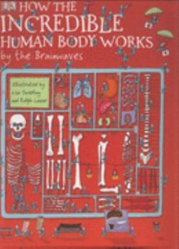 How the Incredible Human Body Works . . . By the Brainwaves