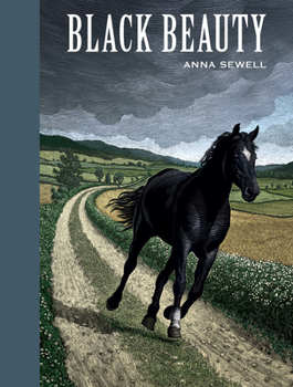 Hardcover Black Beauty Book