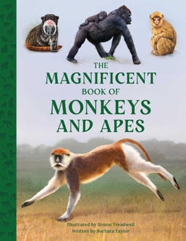 Hardcover The Magnificent Book of Monkeys and Apes Book