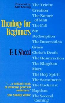 Paperback Theology for Beginners Book