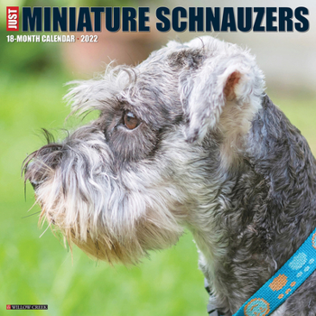 Calendar Just Miniature Schnauzers 2022 Wall Calendar (Dog Breed) Book