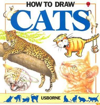 Paperback How to Draw Cats Book
