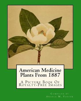 Paperback American Medicine Plants From 1887: A Picture Book Of Royalty-Free Images Book