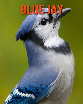 Paperback Blue Jay: Incredible Pictures and Fun Facts about Blue Jay Book