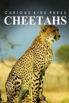 Paperback Cheetah - Curious Kids Press Book