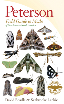 Paperback Peterson Field Guide to Moths of Northeastern North America Book