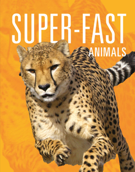 Super-Fast Animals