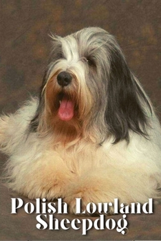 Polish Lowland Sheepdog: Dog breed overview and guide