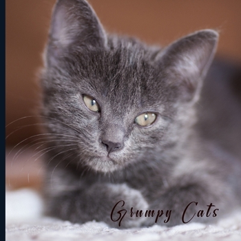 Grumpy Cats: 2021 Monthly Photo Calendar | January 2021 - December 2021 | Monthly Calendar with U.S./UK/ Canadian/Christian/Jewish/Muslim Holidays |