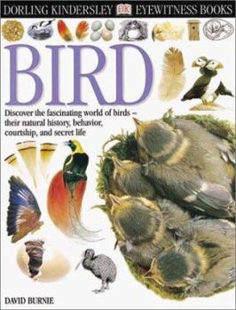 Eyewitness: Bird