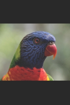 Regenbogenlori: Notizbuch / Tagebuch Lori - DIN A5 120 Seiten liniert - Geschenke f�r Papageienliebhaber Vogel