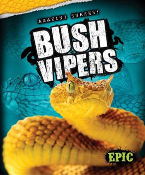 Bush Vipers - Book  of the Amazing Snakes!