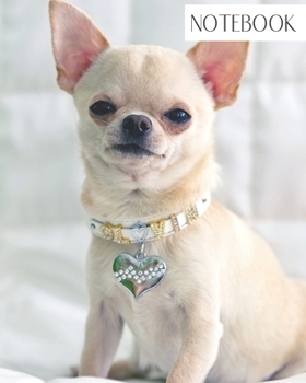 Paperback Notebook: Large College Ruled Notebook for Everyday Use Cute Chihuahua Dog Book