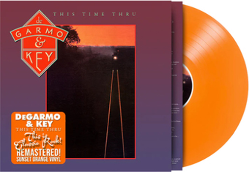 Vinyl This Time Thru Book