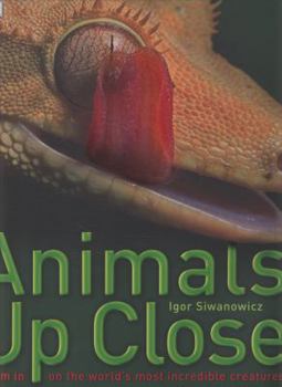 Hardcover Animals Up Close: Zoom in on the World's Most Incredible Creatures Book