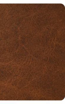 Paperback Waterproof Bible-Esv-Brown Book