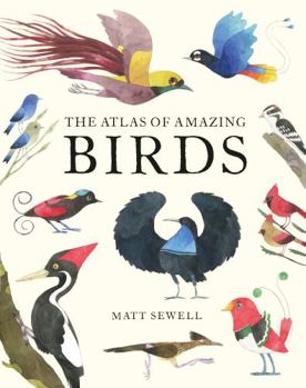 Hardcover Matt Sewell's Atlas of Amazing Birds Book