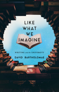 Hardcover Like What We Imagine: Writing and the University Book