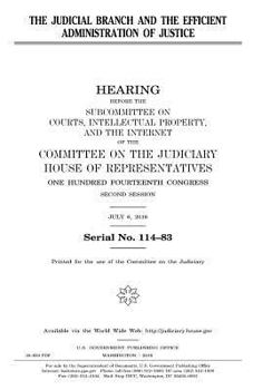 The judicial branch and the efficient administration of justice