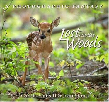 Hardcover Lost in the Woods Book