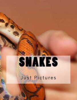 Paperback Snakes Book