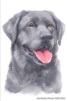 Lab Weekly Planner 2020-2021: Labrador Retriever Lover Notebook Gift, Two Year Weekly Planner With 2 Year Calendar 2020 2021, Size 6 X 9 Inch