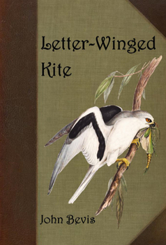 Paperback Letter-Winged Kite Book