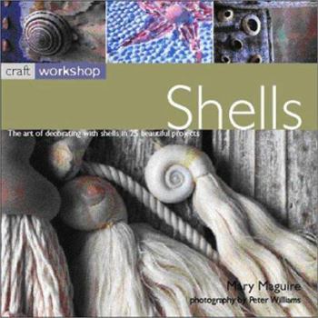 Shells (Craft Workshop)