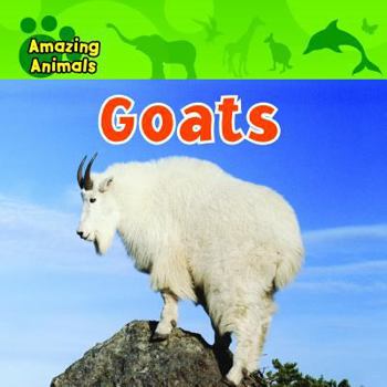 Paperback Goats Book