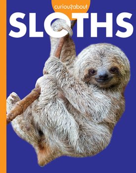 Paperback Curious about Sloths Book