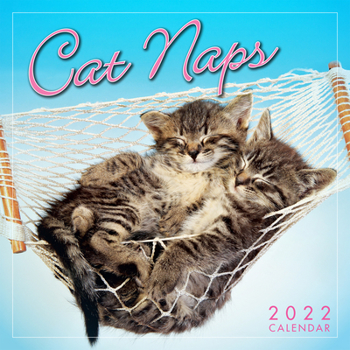 Calendar Cat Naps 2022 Mini Calendar Book